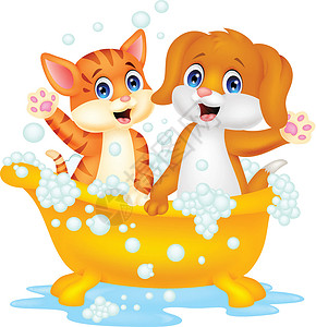 可爱的猫和狗洗澡时间欢呼夹子插图吉祥物气泡淋浴动物漫画擦洗温泉设计图片