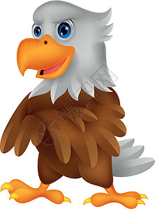 装饰可爱鹰漫画羽毛野生动物白头鹰动物生活自由绘画插图冒充吉祥物背景图片