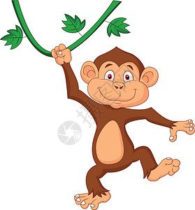 吊挂绣球吊挂可爱猴子快乐欢呼叶子黑猩猩插图灵长类卡通片喜悦吉祥物孩子设计图片