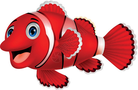 可爱小丑鱼卡通漫画红色游泳海洋卡通片插图金鱼乐趣橙子吉祥物野生动物背景图片