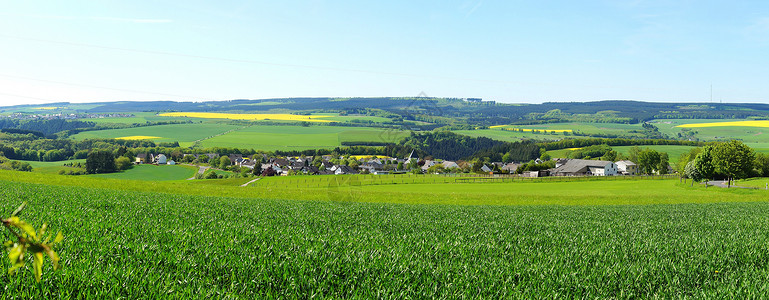 格特赖德费尔德全景绿色土地地貌说唱地景经济背景