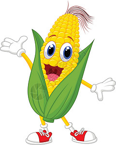 一个玉米棒子展示甜玉米特征的插图 介绍插画