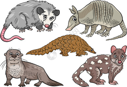 设置漫画插图的野生动物尾巴哺乳动物动物园绘画剪贴荒野穿山甲负鼠吉祥物快乐背景图片