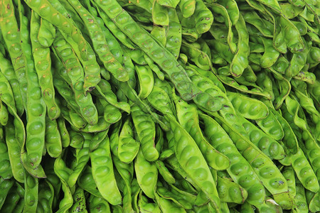 公园树斑皮索食物美食蔬菜绿色草本植物背景图片