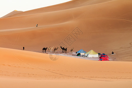 撒哈拉沙漠难民营高清图片