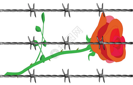 玫瑰金属艺术品树叶植物倒钩荆棘情感刀子叛徒监狱高清图片