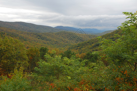 Shenandoah国家公园叶子旅行国家季节风景公园背景图片