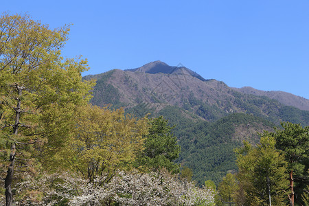 山岳和山林的景色天空爬坡蓝色木头公园森林植物花园白色旅行河口湖高清图片素材