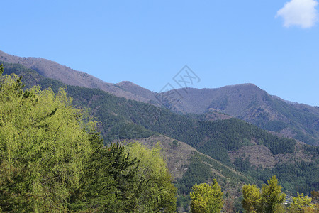 山岳和山林的景色爬坡旅行花园木头天空蓝色森林公园季节植物日本人高清图片素材