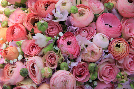 粉红玫瑰和彩虹花束玫瑰团体婚姻绿色婚礼鲜花植物群花瓣新娘装饰品背景图片