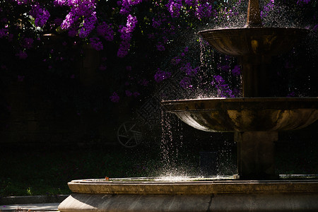 喷泉环影花园加利高清图片