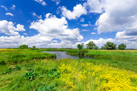 夏季风景草地草原池塘绿化蓝色晴天农村牧场阳光植物高清图片