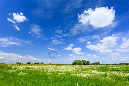 夏季风景农村墙纸蓝色荒野牧场远景草原绿色美化场地高清图片
