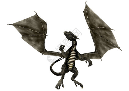 黑龙危险怪物孩子蜥蜴插图尾巴神话孩子们翅膀白色背景图片