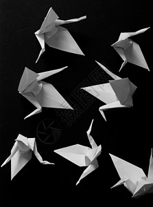 折纸起重机团体工艺工艺品艺术黑色起重机白色爱好背景图片