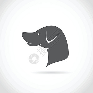狗头铡狗头矢量图像白色插图棕色卡通片衣领哺乳动物黑色草图小狗绘画设计图片