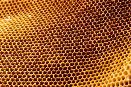 美丽的蜂窝 没有蜂蜜纹理食物黄色荒野蜂蜡细胞宏观六边形金子背景图片