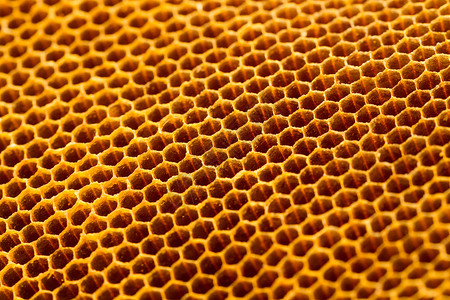 蜂窝纹理美丽的蜂窝 没有蜂蜜纹理金子细胞蜂蜡六边形宏观黄色荒野食物背景