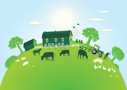 绿农场养牛业季节生态奶牛摊位公鸡季节性居住牧场绿色高清图片