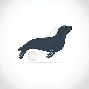 海狮晒太阳海狮矢量图像设计图片
