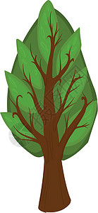 卡通树 孤立的叶子乔木落叶环境树木绿色绘画植物树叶插图背景图片