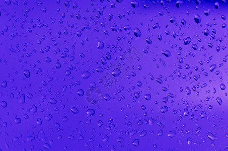 水滴数紫色墙纸宏观液体背景图片