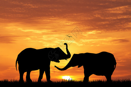 大象剪影素材相爱的大象旅行荒野丛林旅游森林插图太阳日落野生动物背景