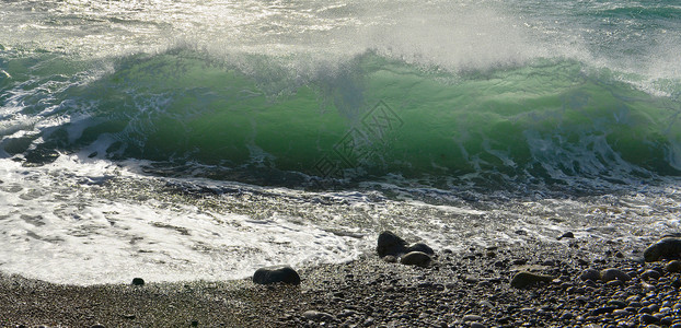 透明的海浪冲浪海滩阳光晴天海水海岸支撑绿色透明波阳光照射背景图片