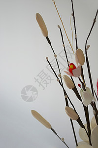 天然物料的假花叶子花朵材料分支机构点缀树枝背景图片