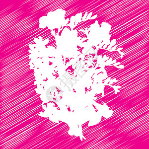 鲜花花束草图花瓣郁金香植物群环境生态插图模版木刻绘画背景图片