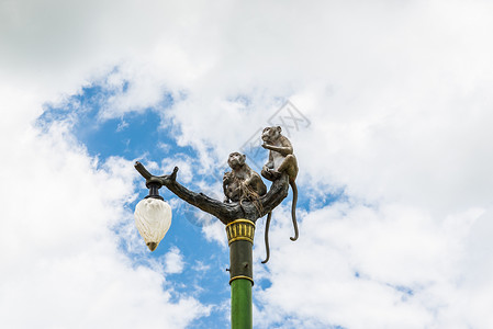 沉思者雕像黑猩猩雨林高清图片