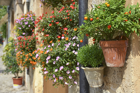 阿里法纳典型的地中海村庄 瓦尔法卡德有花盆游客花朵观光石工乡村房子建筑植物百叶窗石头背景