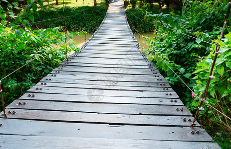 木林长绳桥热带木头黄色公园绿色棕榈植物吊桥小路吊坠背景