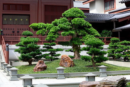 中华传统花园建筑学建筑倾斜屋顶树木池塘公园植物生长松树背景图片