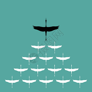 箭雨星空飞翔 领导力的理念插图天空艺术动物工作商业优胜者团队老板鸟类插画