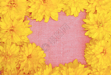 黄色花朵边框粉色布面背景下黄色花朵的边框框架金子雏菊团体收藏乡村纺织品边界粗布大丽花背景