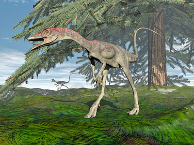 共生恐龙  3D蜥蜴古生物学枞树爬虫动物天空生物草食性插图绿色背景图片