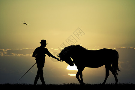 日落时马匹牧场太阳骑术阳光运动旅行骑士动物土地插图高清图片