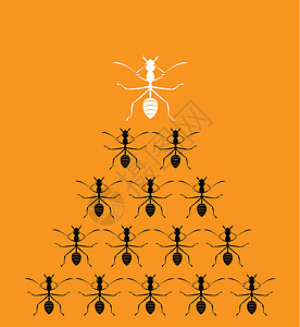 大无畏橙色背景的蚂蚁矢量图像 领导力概念团队昆虫天线团体商业办公室漏洞乐趣白蚁动物插画
