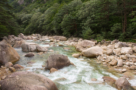 Kumgang 山石头松树森林天空岩石高清图片