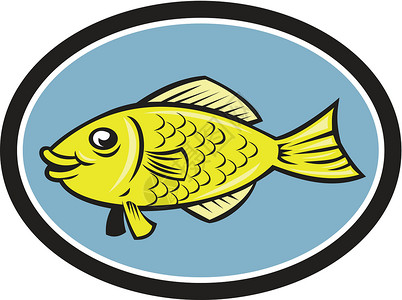 今后鱼你无瓜瓜拉米鱼边视图 Oval 卡通插图卡通片海洋生物野生动物椭圆形艺术品插画