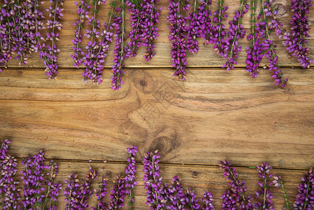 希瑟 Heathers木头粉色季节性花束桌子季节花园植物紫色背景图片