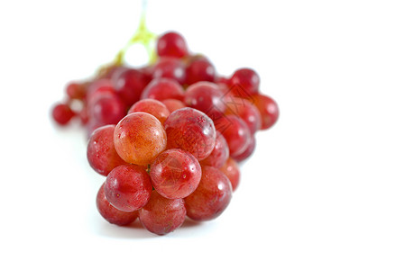 红葡萄健康饮食藤蔓食物植物庄稼水果甜食浆果背景图片