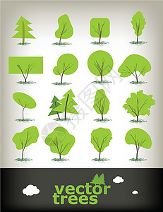 矢量树季节绘画松树农业树木绿色森林环境叶子插图背景图片