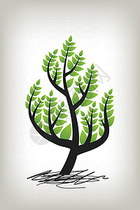 树季节木头植物环境树枝图标绿色绘画叶子生活背景图片