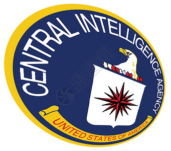 CIA 盾牌波峰机构秘密安全智力插图绘画团队徽章背景图片