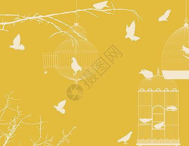 宠物食盆鸟类和鸟类食鸟明信片 7设计图片