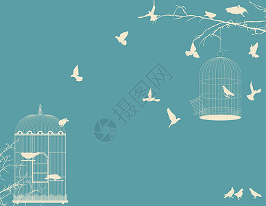 空鸟笼鸟类和鸟类食鸟明信片 9设计图片