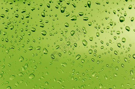水滴数宏观液体绿色墙纸背景图片