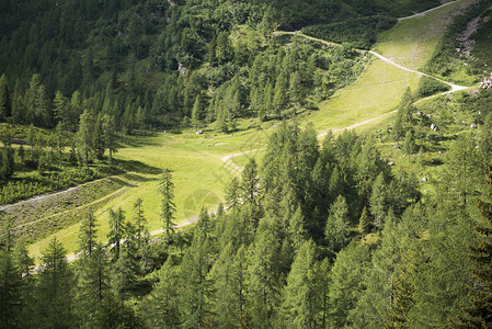 施内布利山道森林中的山道 多洛米人背景